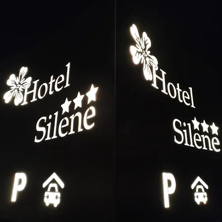 ホテル Silene Parking And Garage 3*