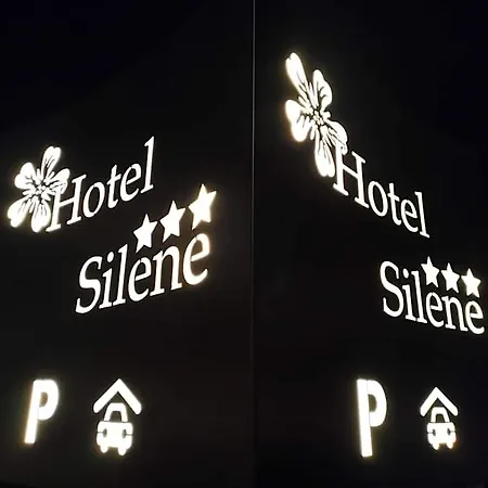 Silene Parking And Garage